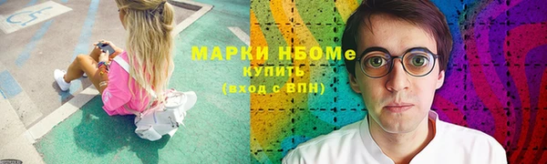 молекула духа Козельск