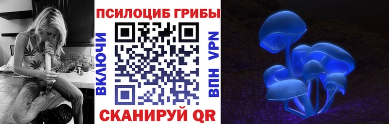 Галлюциногенные грибы Psilocybine cubensis  Сафоново 
