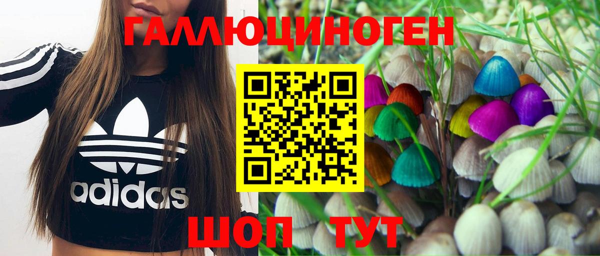 Галлюциногенные грибы GOLDEN TEACHER Сафоново